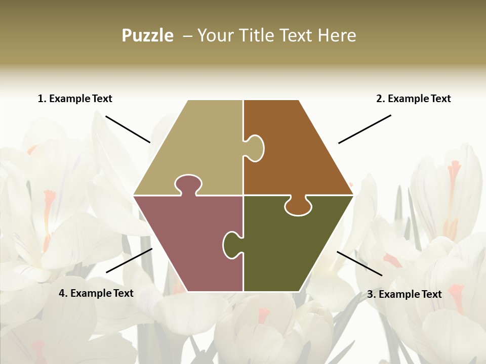 Spring Botanical Springtime PowerPoint Template