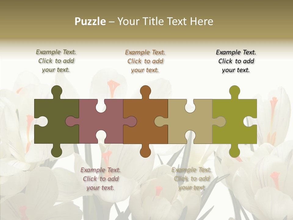 Spring Botanical Springtime PowerPoint Template