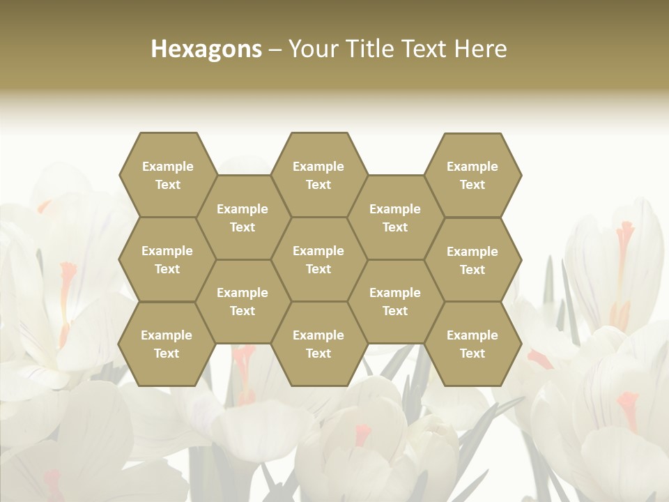 Spring Botanical Springtime PowerPoint Template