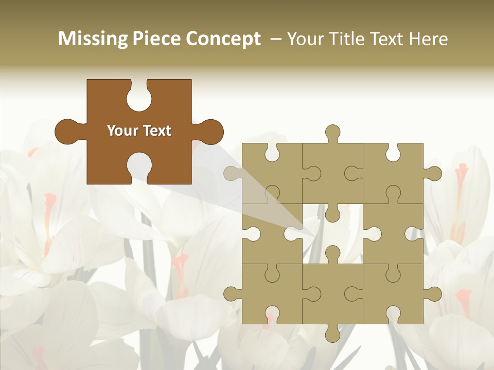 Spring Botanical Springtime PowerPoint Template