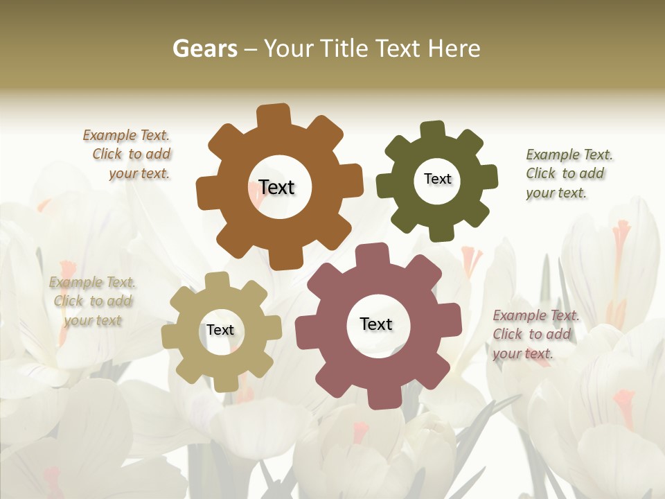 Spring Botanical Springtime PowerPoint Template