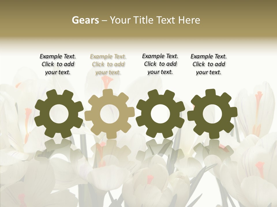 Spring Botanical Springtime PowerPoint Template