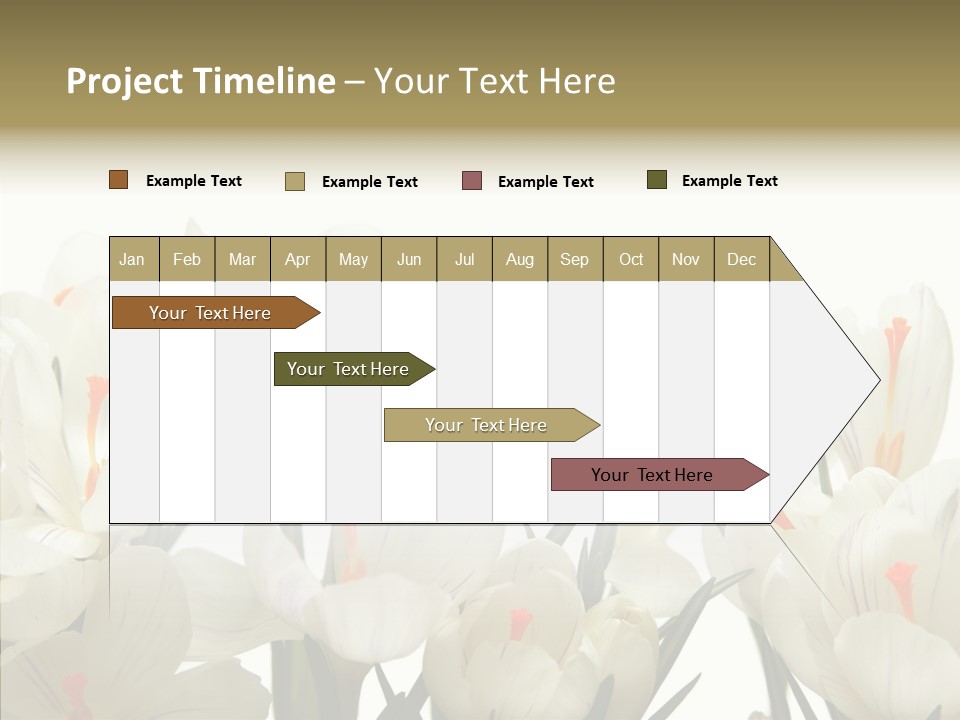 Spring Botanical Springtime PowerPoint Template