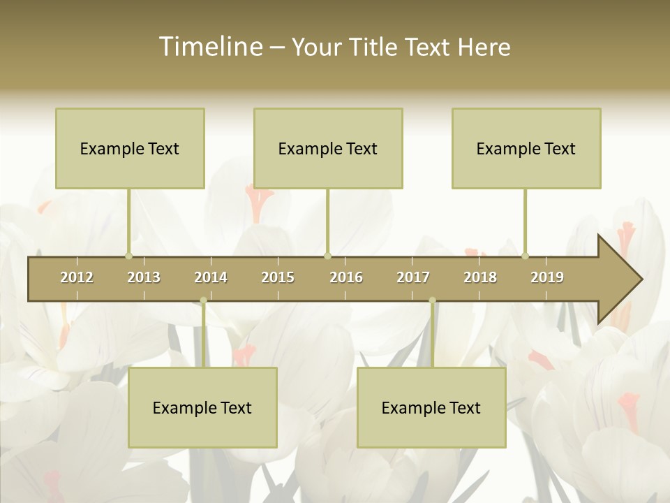 Spring Botanical Springtime PowerPoint Template
