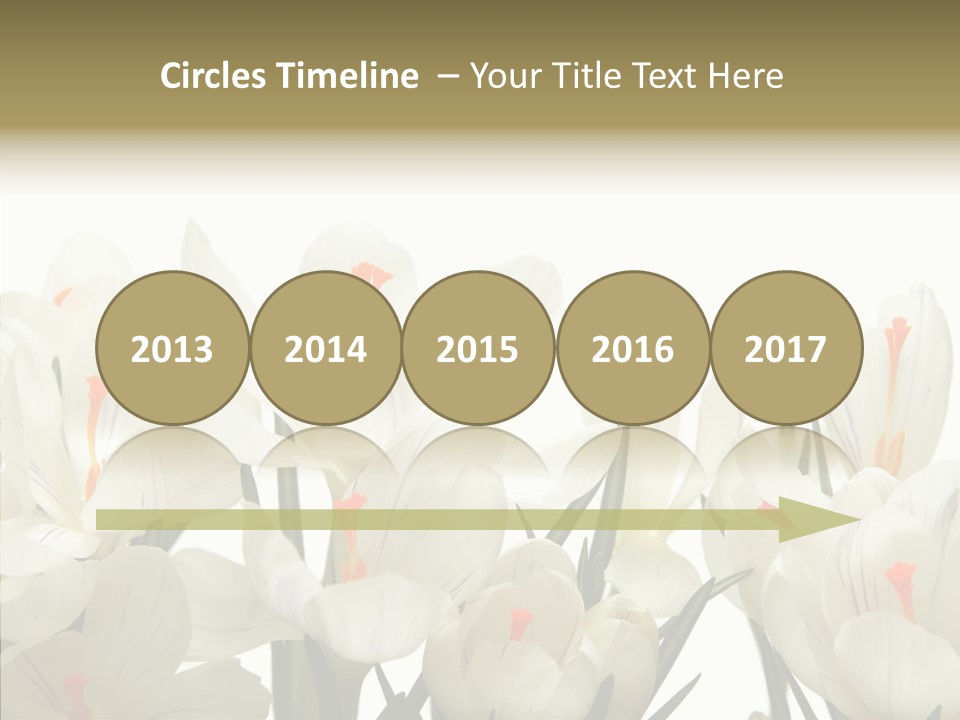 Spring Botanical Springtime PowerPoint Template