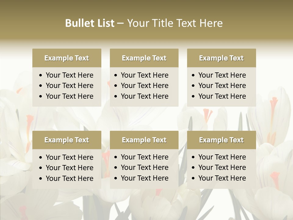 Spring Botanical Springtime PowerPoint Template
