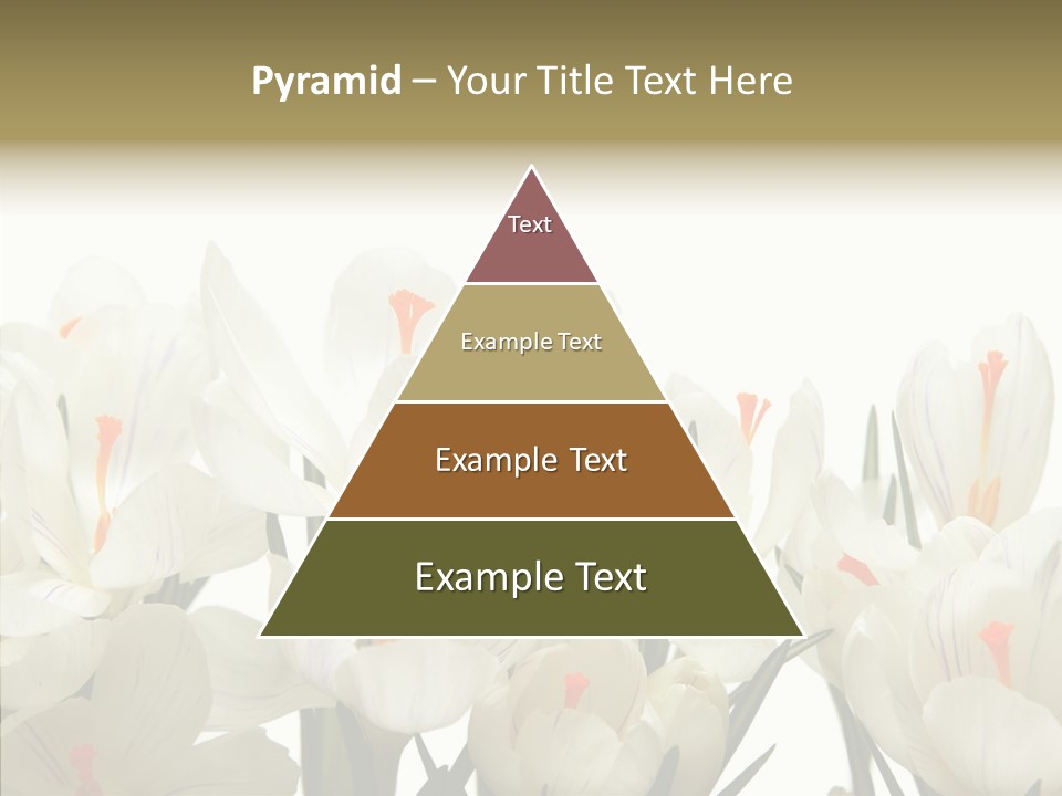 Spring Botanical Springtime PowerPoint Template