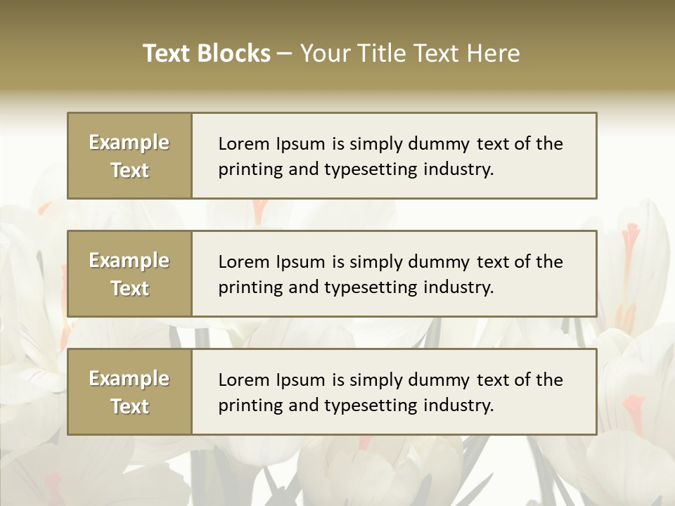 Spring Botanical Springtime PowerPoint Template