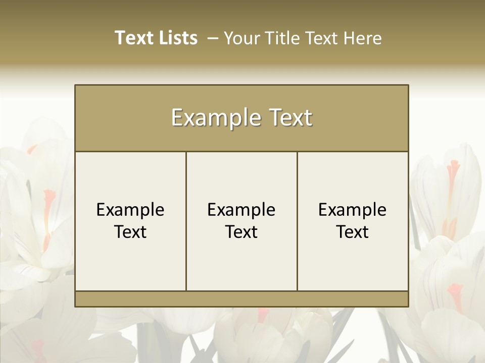 Spring Botanical Springtime PowerPoint Template