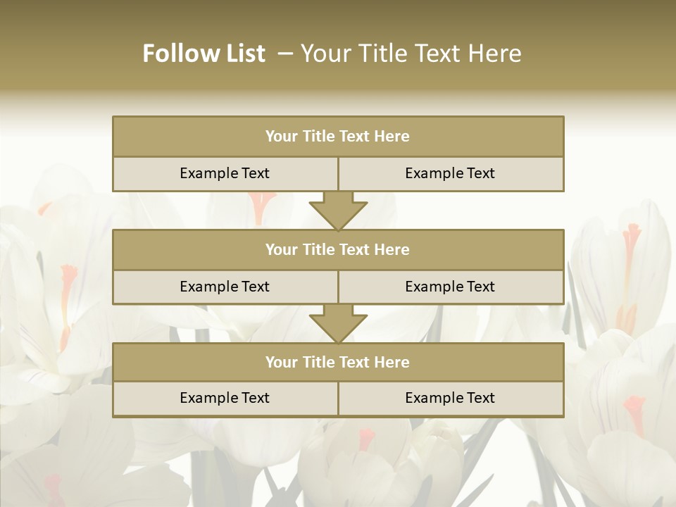 Spring Botanical Springtime PowerPoint Template