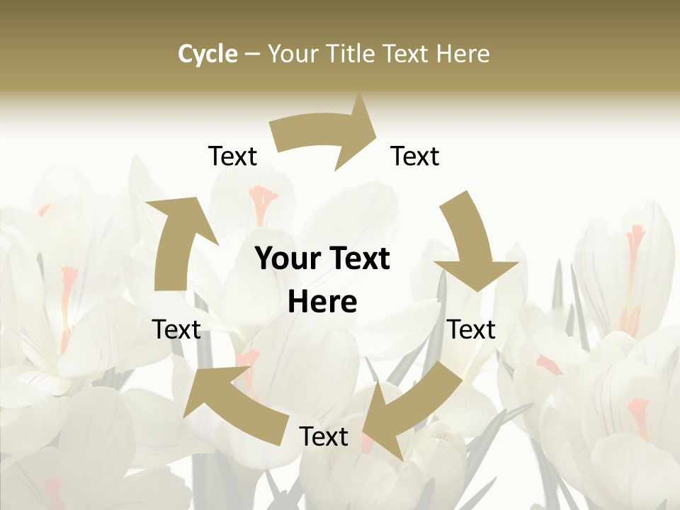 Spring Botanical Springtime PowerPoint Template