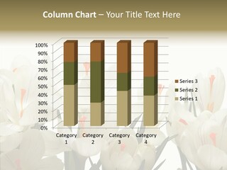 Spring Botanical Springtime PowerPoint Template