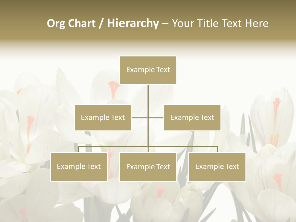 Spring Botanical Springtime PowerPoint Template