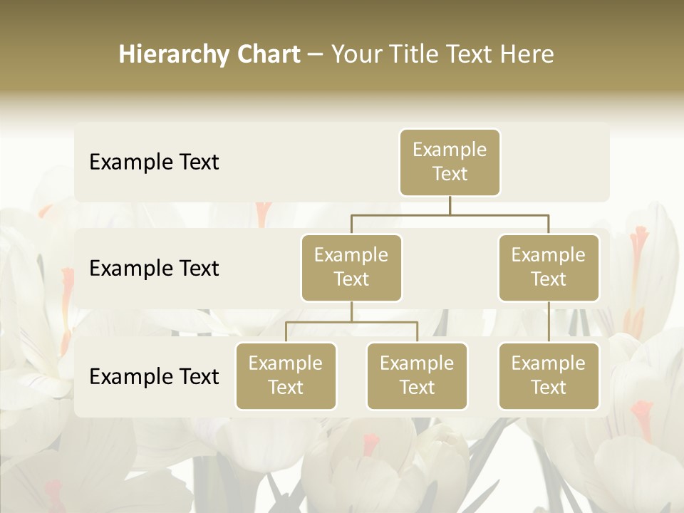 Spring Botanical Springtime PowerPoint Template