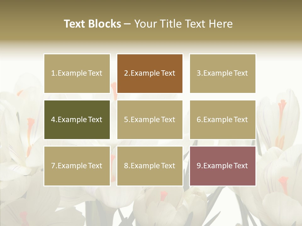 Spring Botanical Springtime PowerPoint Template