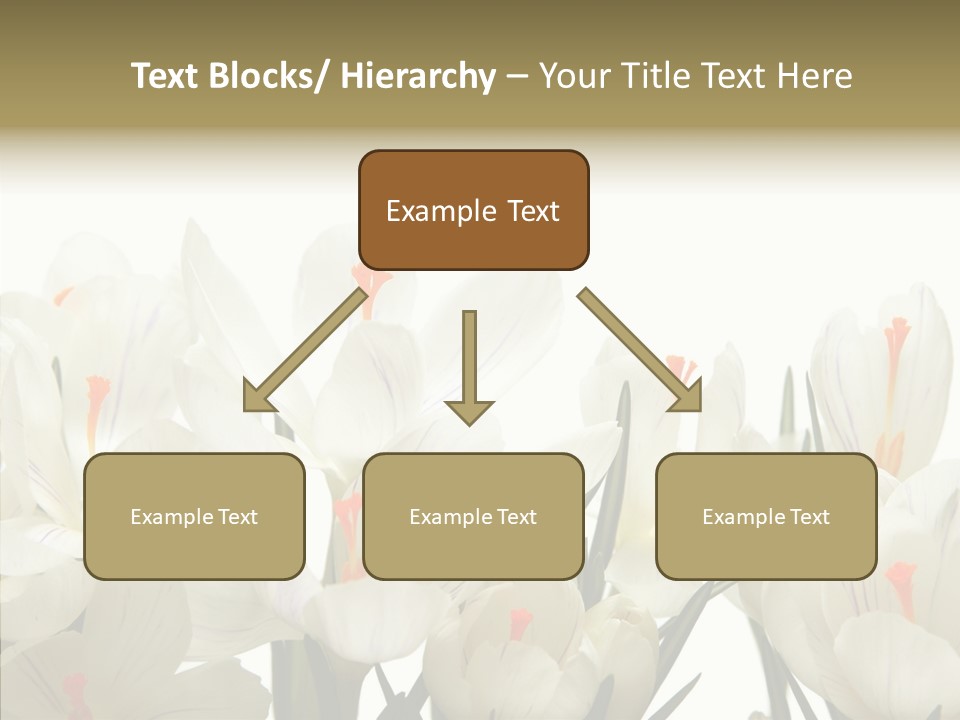 Spring Botanical Springtime PowerPoint Template