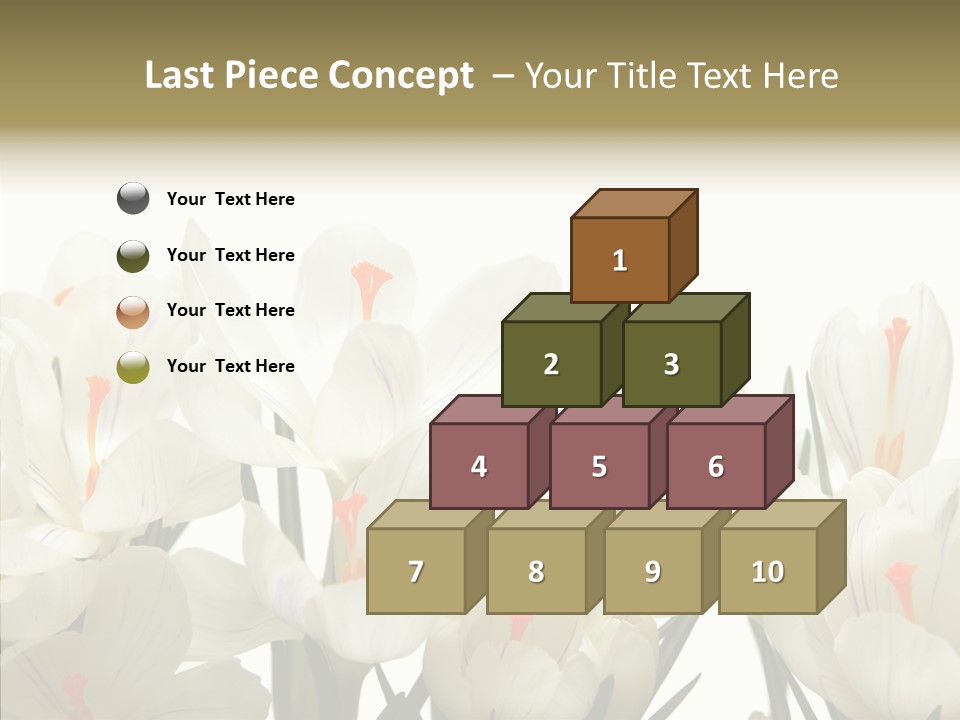 Spring Botanical Springtime PowerPoint Template