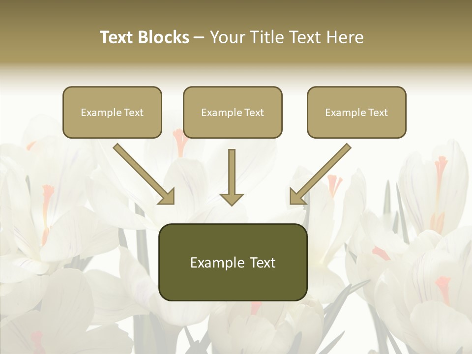Spring Botanical Springtime PowerPoint Template