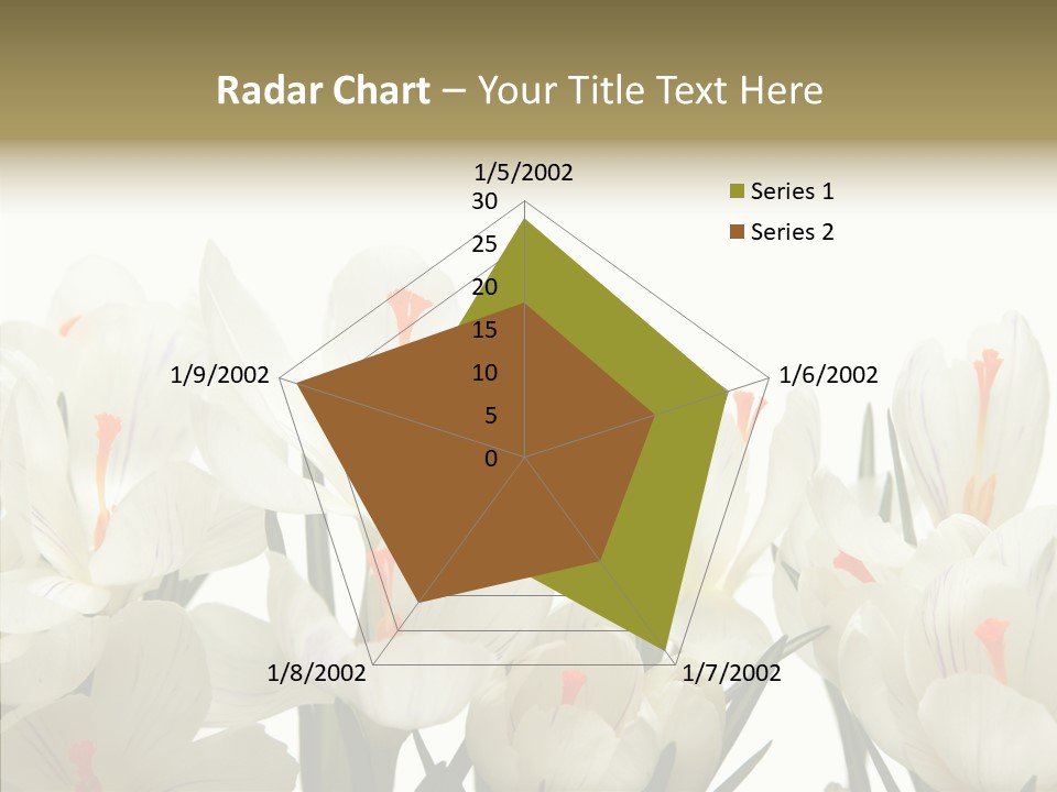 Spring Botanical Springtime PowerPoint Template