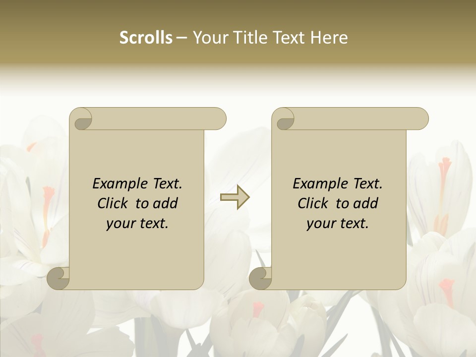 Spring Botanical Springtime PowerPoint Template