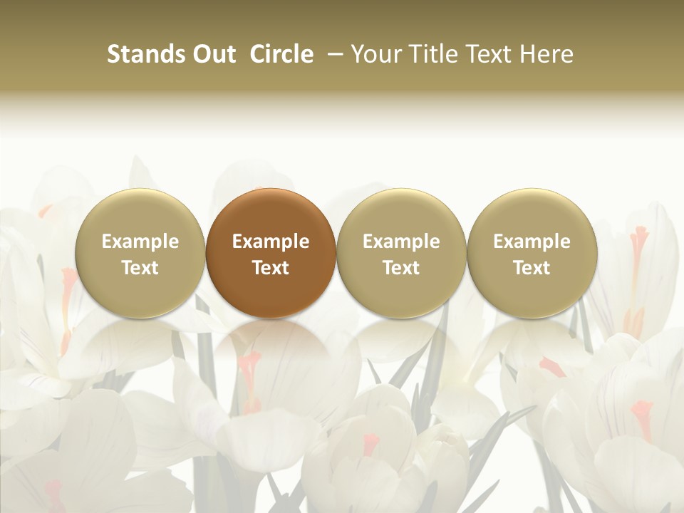 Spring Botanical Springtime PowerPoint Template