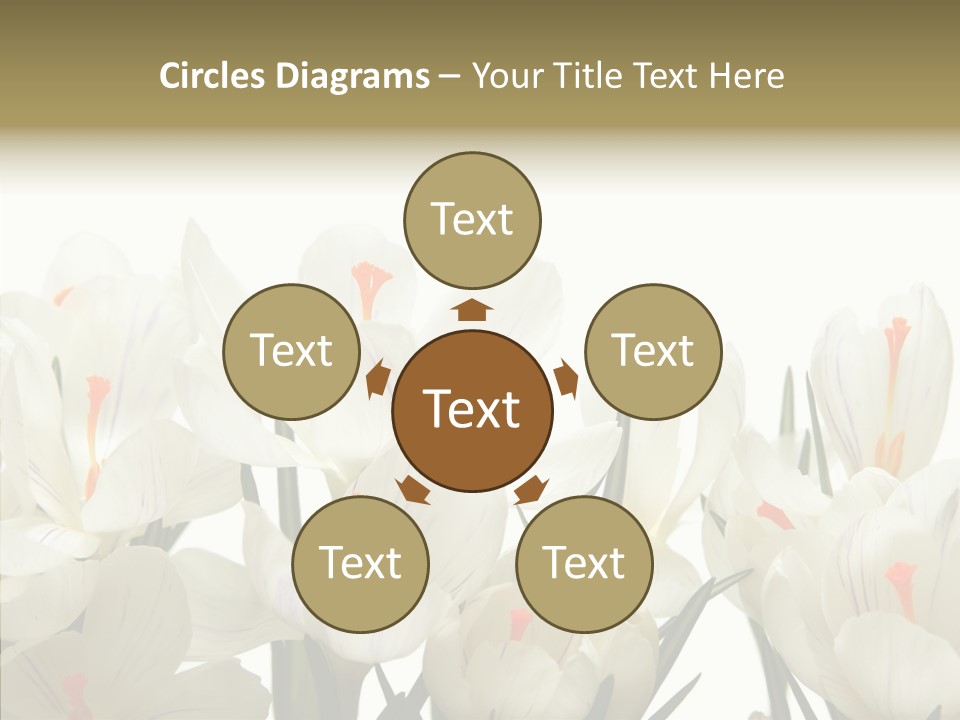 Spring Botanical Springtime PowerPoint Template