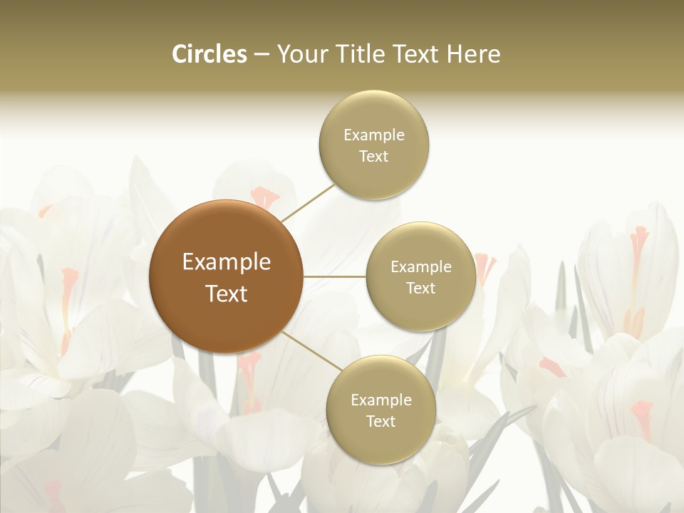 Spring Botanical Springtime PowerPoint Template