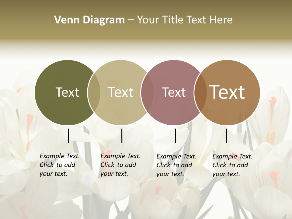 Spring Botanical Springtime PowerPoint Template