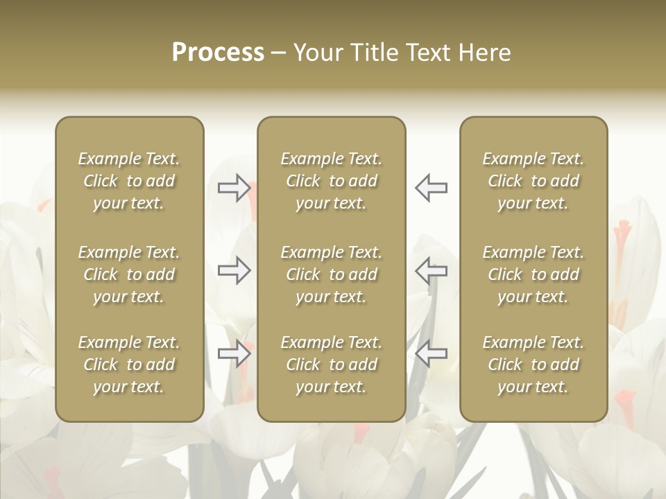 Spring Botanical Springtime PowerPoint Template