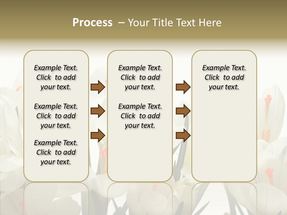 Spring Botanical Springtime PowerPoint Template