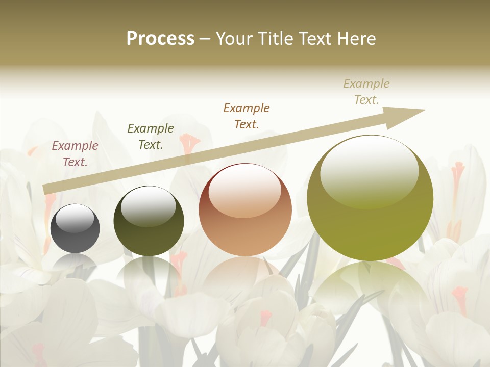 Spring Botanical Springtime PowerPoint Template