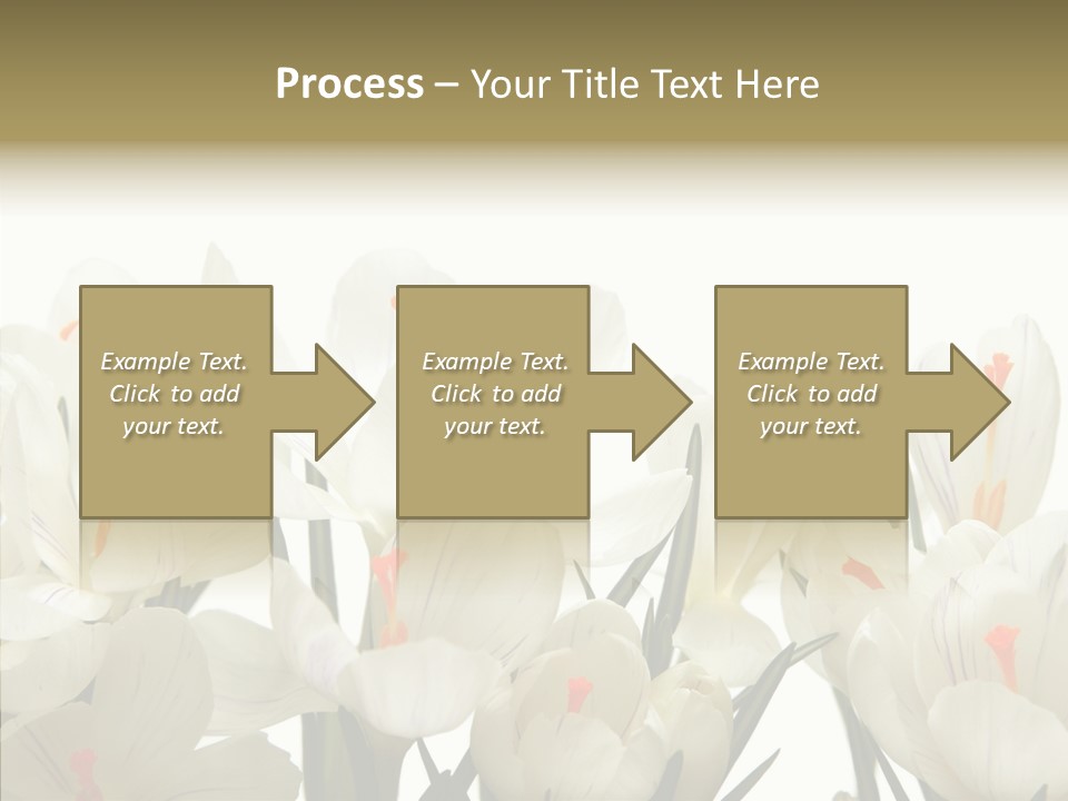 Spring Botanical Springtime PowerPoint Template