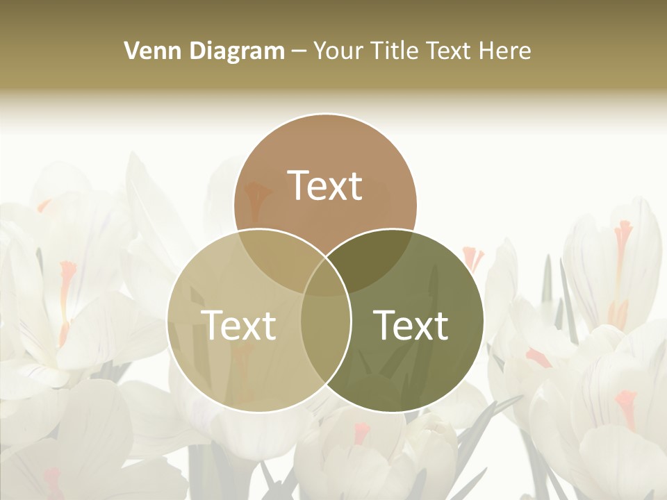 Spring Botanical Springtime PowerPoint Template