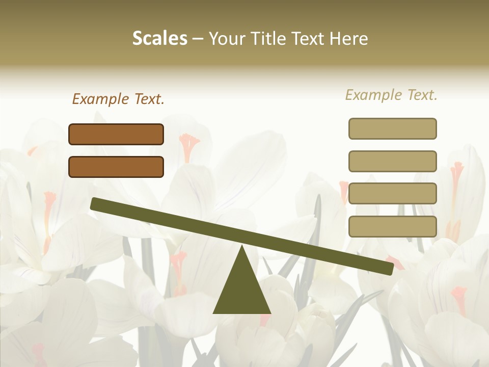 Spring Botanical Springtime PowerPoint Template