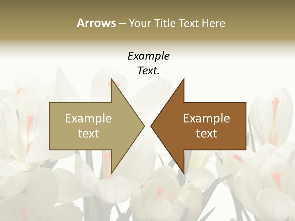 Spring Botanical Springtime PowerPoint Template