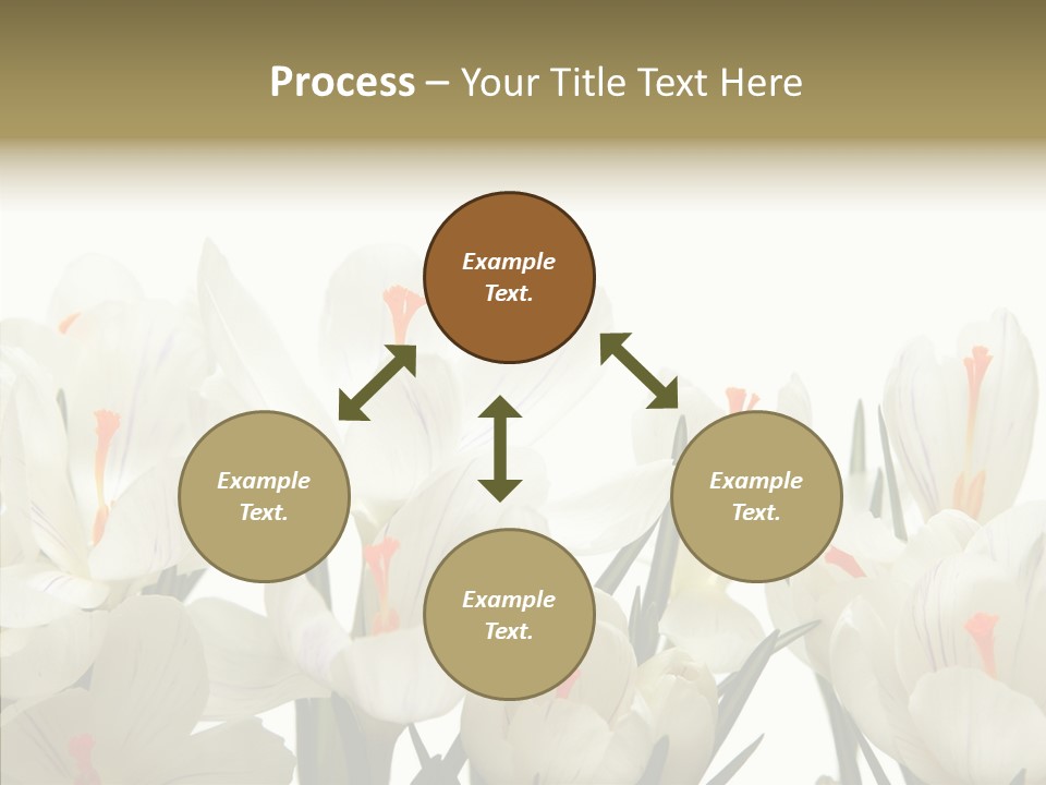 Spring Botanical Springtime PowerPoint Template