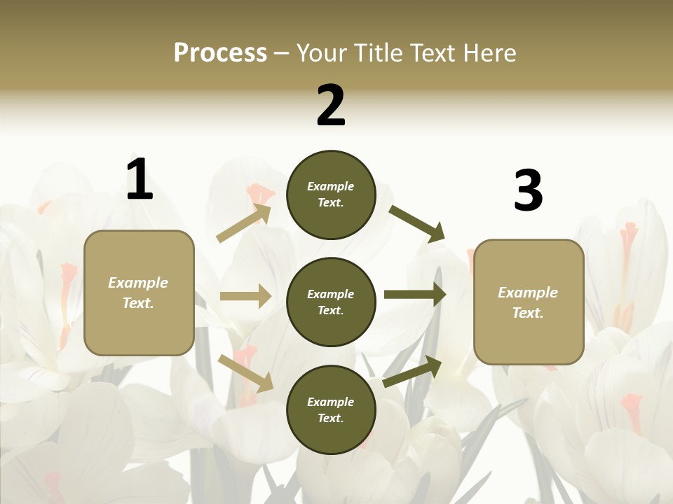 Spring Botanical Springtime PowerPoint Template