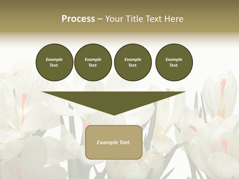 Spring Botanical Springtime PowerPoint Template