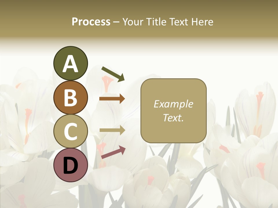 Spring Botanical Springtime PowerPoint Template