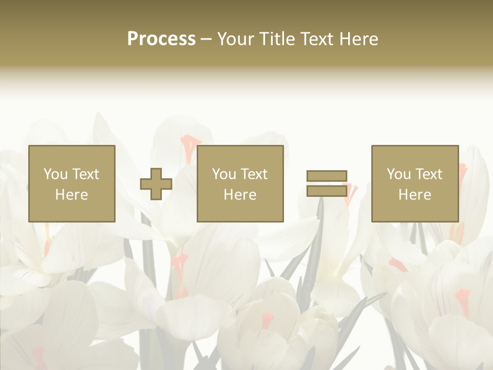 Spring Botanical Springtime PowerPoint Template