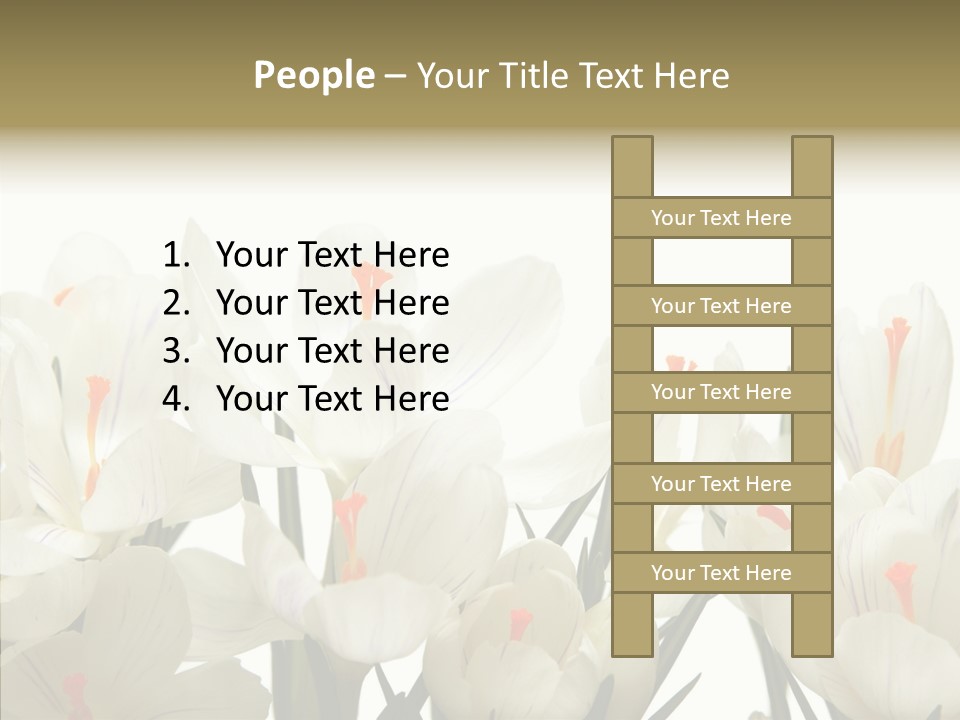 Spring Botanical Springtime PowerPoint Template