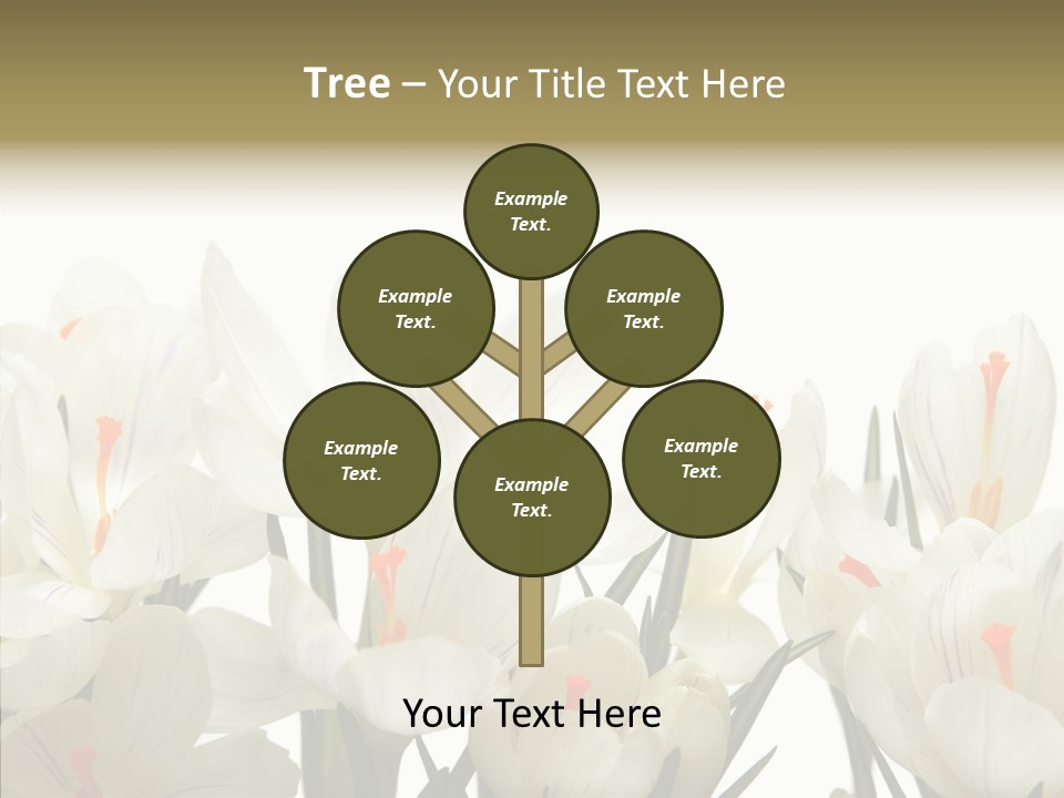 Spring Botanical Springtime PowerPoint Template