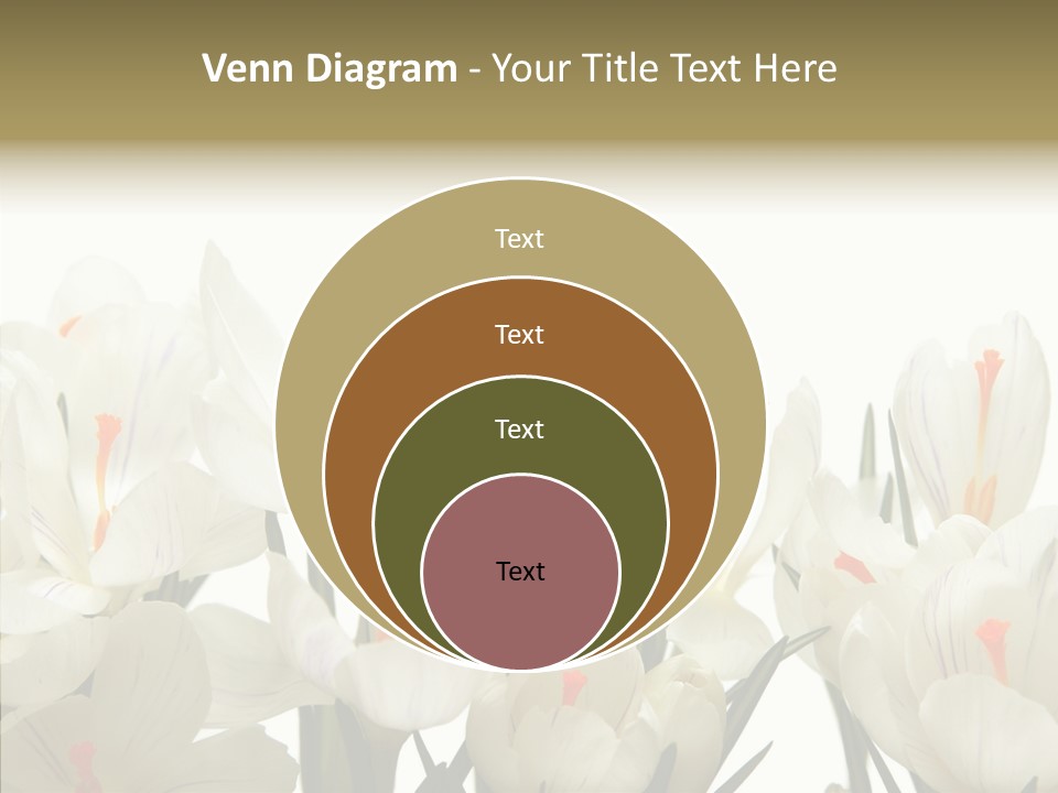 Spring Botanical Springtime PowerPoint Template