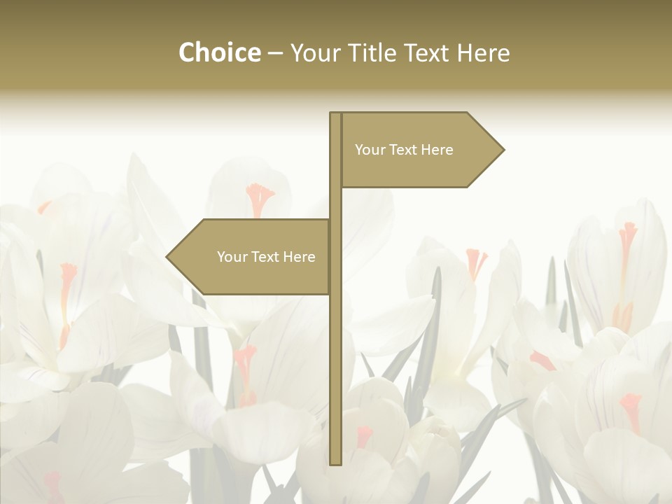 Spring Botanical Springtime PowerPoint Template