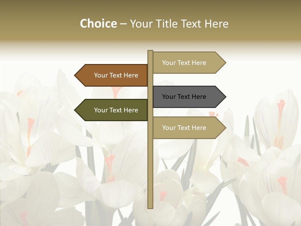 Spring Botanical Springtime PowerPoint Template