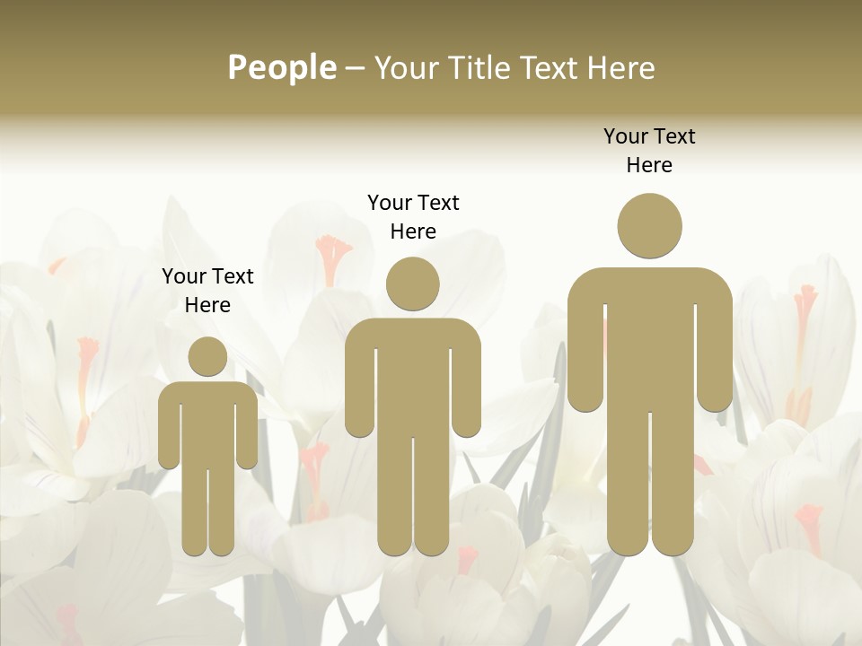 Spring Botanical Springtime PowerPoint Template