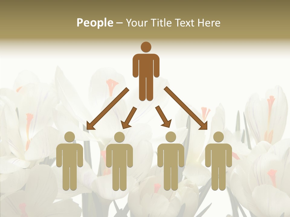 Spring Botanical Springtime PowerPoint Template