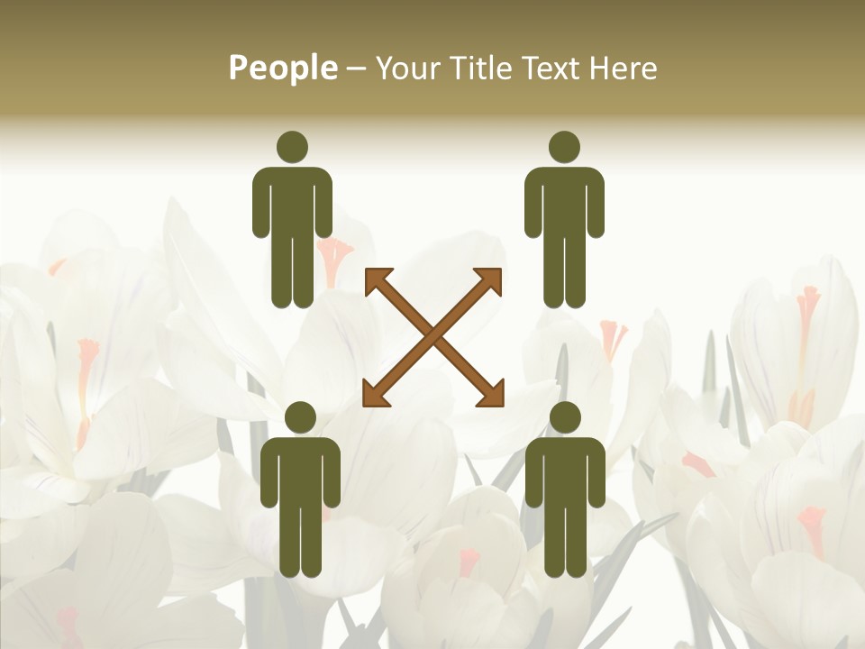 Spring Botanical Springtime PowerPoint Template