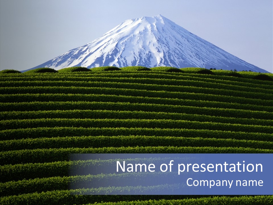 Majestic Landscape Field PowerPoint Template