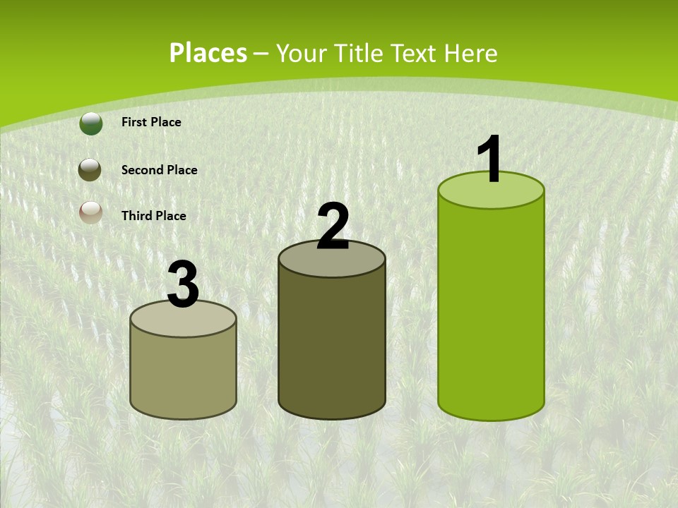 Rows Lush Earth PowerPoint Template